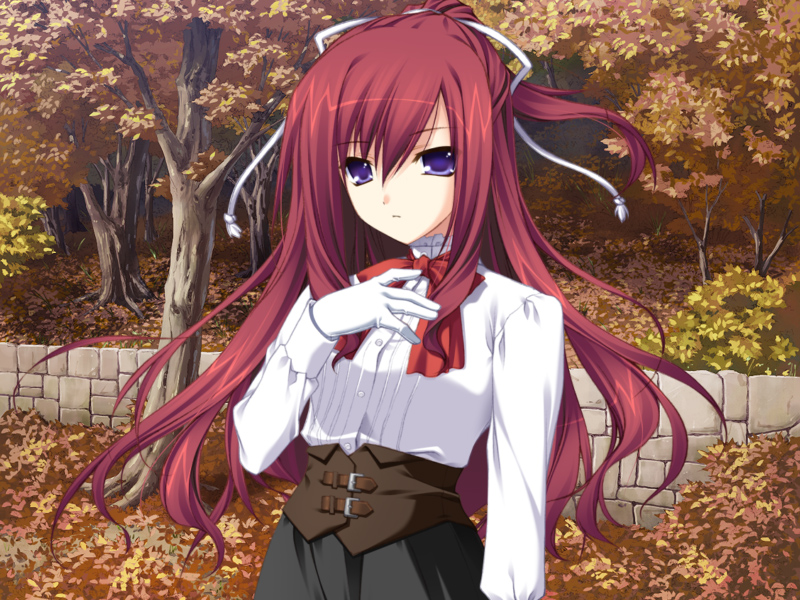 http://vignette4.wikia.nocookie.net/11eyes/images/c/cf/11eyes_SDAG_Misuzu_Screenshot1.jpg/revision/latest?cb=20120420150323