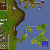 Fairy Ring Code Ape Atoll Agility Course Fairy Ring Code Ape Atoll Agility Course