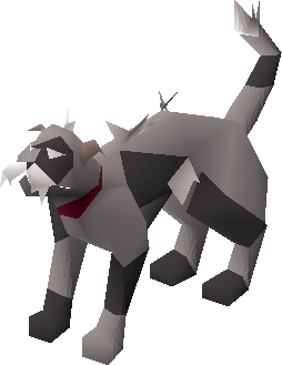Osrs Pet Cat On Death Osrs Pet Cat On Death