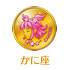 Icon-clcancer