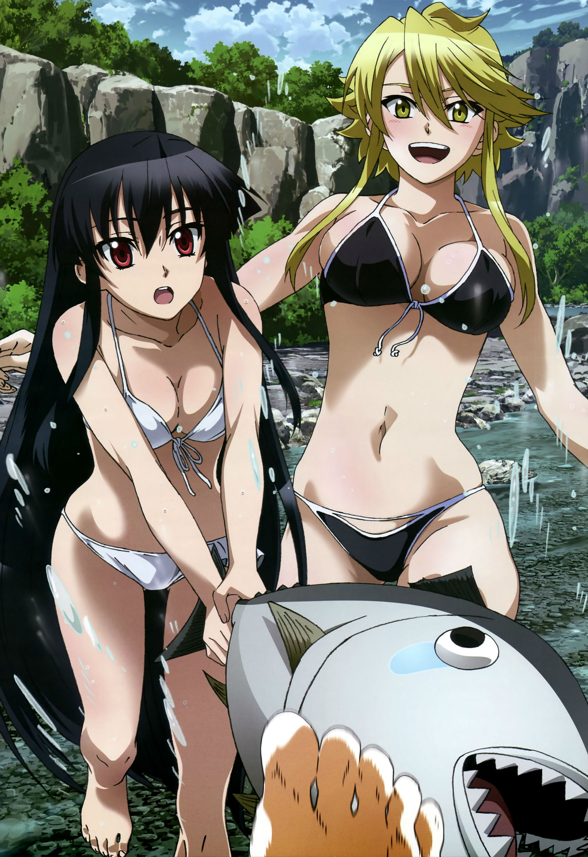 Akame Ga Kill Scan Image - Akame & Leone Nyantype Magazine scan.jpg | Akame Ga Kill! Wiki