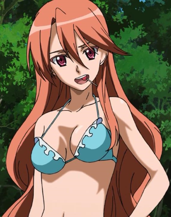 Image Chelsea In A Bikini Akame Ga Kill Wiki