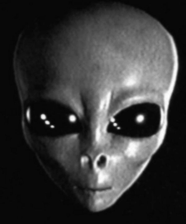 Image result for Grey alien