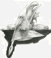 Tundra-Plow