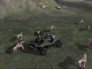 Blind Wolf Pack