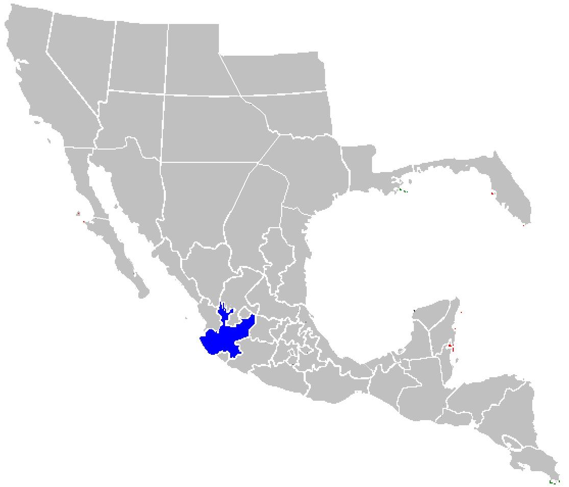 Imagen - Jalisco Mapa.jpg | Historia Alternativa | FANDOM powered by Wikia