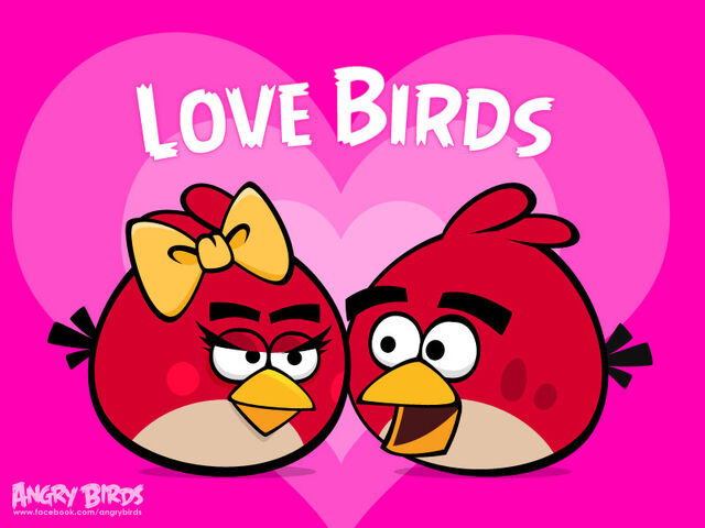 File:Lovebird2.jpg