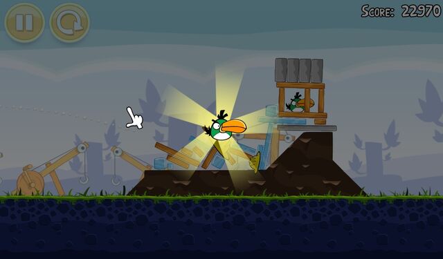 File:BoomerangbirdFreed.jpg