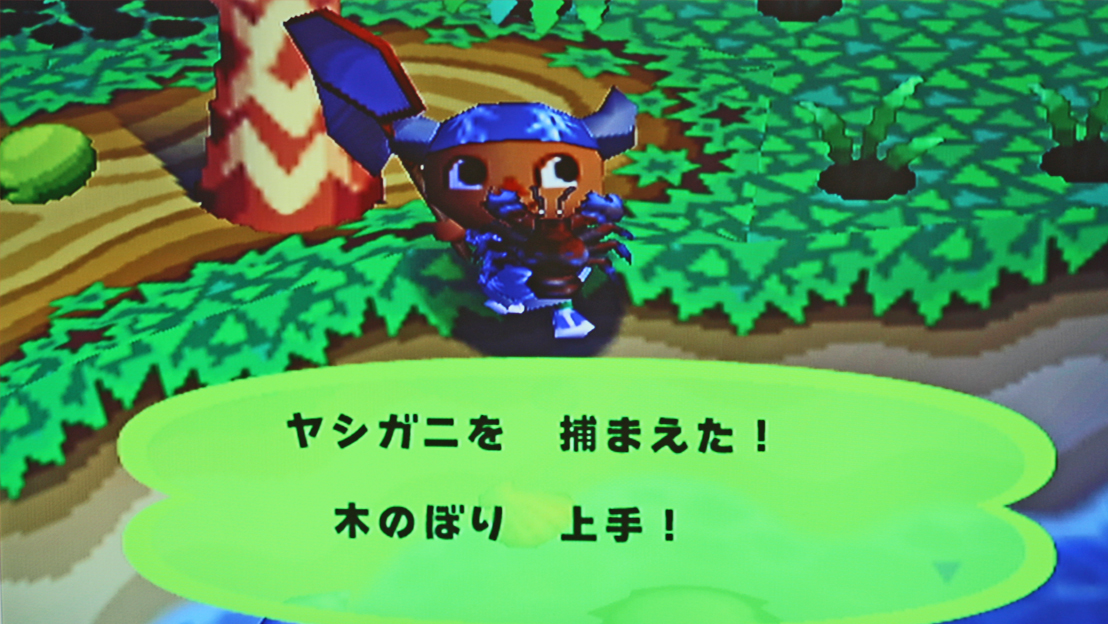 Coconut crab Animal Crossing Wiki FANDOM powered by Wikia