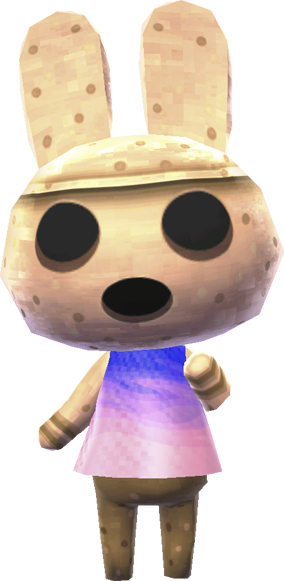 Image result for animal crossing coco