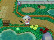 Animal Crossing wikia Pictures 210