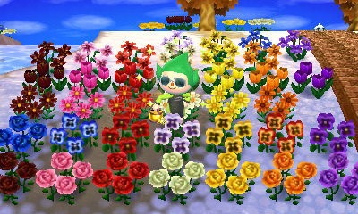 Flower | Animal Crossing Wiki | FANDOM powered by Wikia