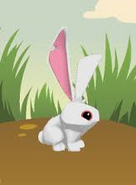 Bunnygame.png (41 KB) Bunnygame