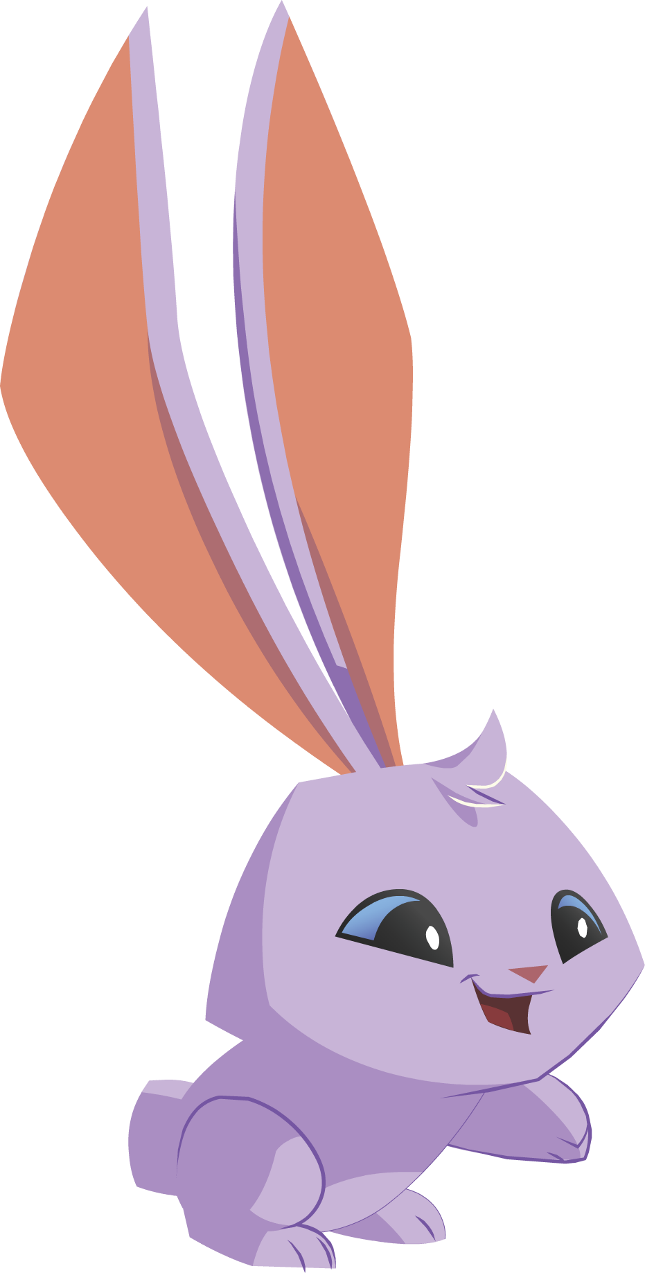 Image - Bunny Graphic.png | Animal Jam Wiki | Fandom powered by Wikia