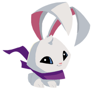 Bunny | Animal Jam Wiki | Fandom powered by Wikia