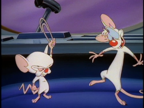 pinky and the brain puppet rulers
