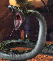 Snake big