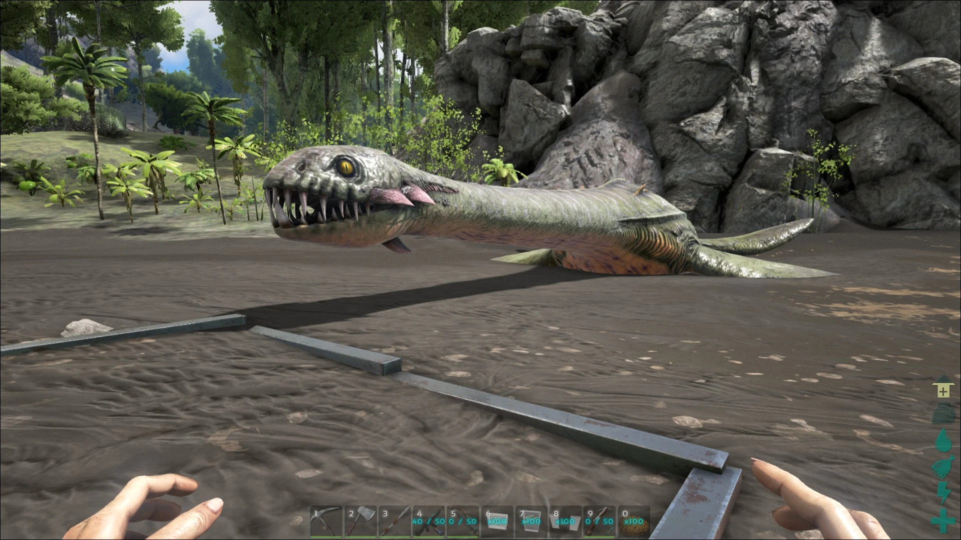 Image ARKPlesiosaur Screenshot 008.jpg ARK Survival Evolved Wiki