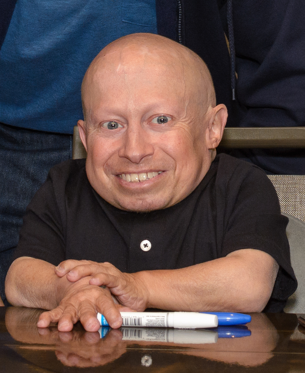 verne troyer harry potter verne troyer harry potter