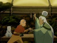 Aang and the herbalist