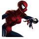 Amazing Spider-Woman Icon Large 2