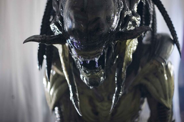 File:2007 avp requiem 002-1-.jpg