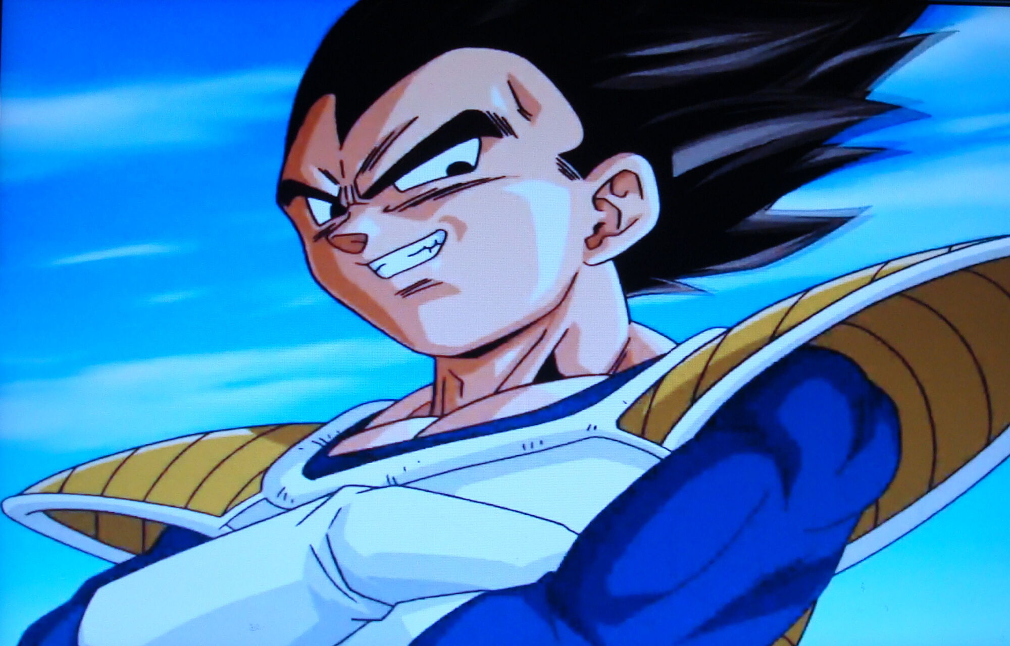 vegeta anime