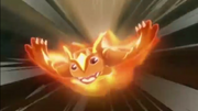 7z.png