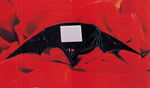 BRBatarang