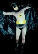 1966historymid.jpg (33 KB) 1966historymid