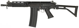 DSA-SA-58-OSW