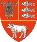 Vaslui stema judetului