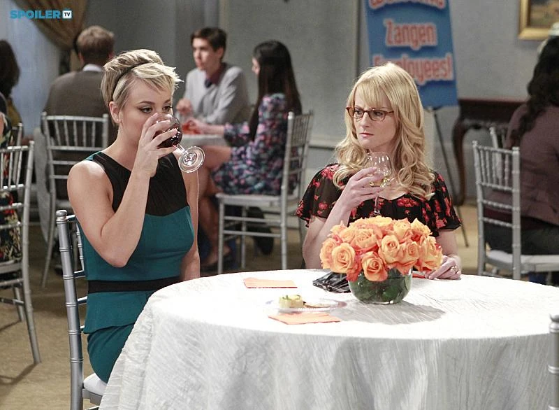 The Big Bang Theory Torrent Vostfr Saison 1 Walking managervirtual