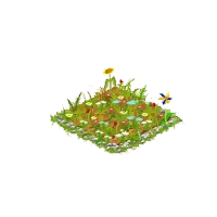 Canteiro de florespng