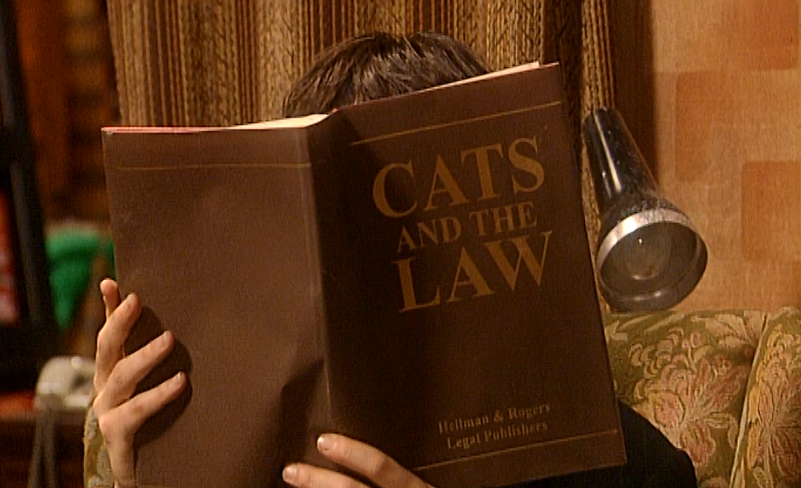 Cats And The Law