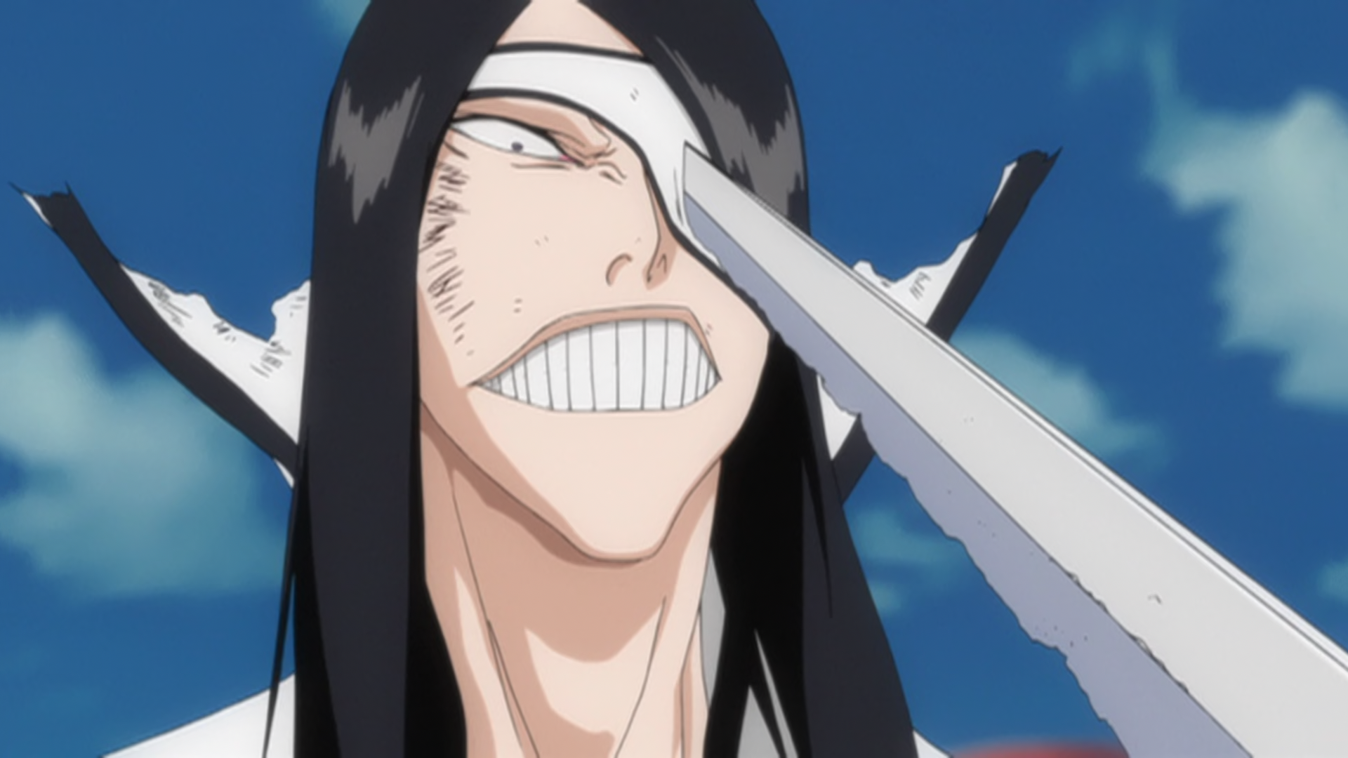 THE MASTER, Bleach Wiki