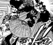 Gotei-13-ready-to-battle.jpg
