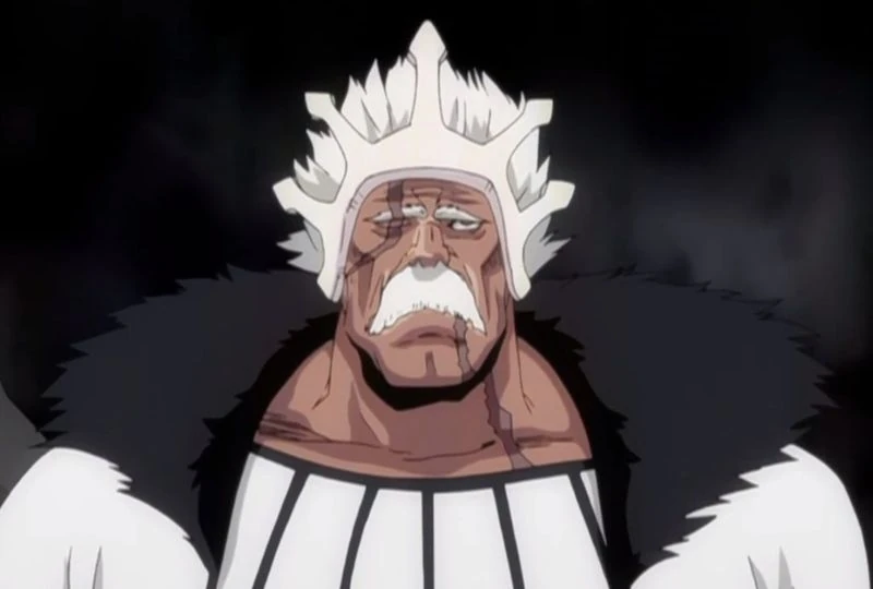 Baraggan Luisenbarn (Fanon) Bleach Fan Fiction Wiki Fandom powered by Wikia