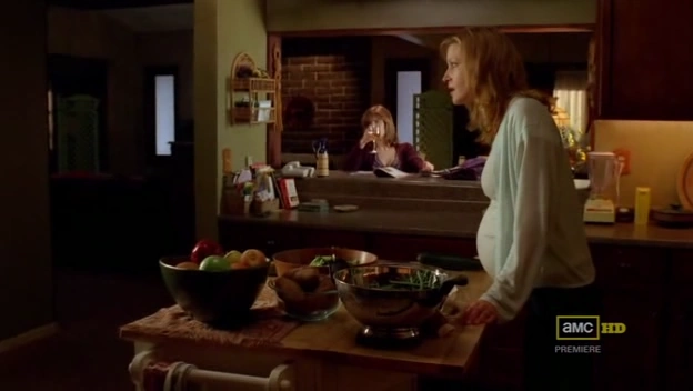 Image - WhiteHouseKitchen.png | Breaking Bad Wiki | FANDOM powered by Wikia