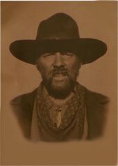 Bufordtannenpicture