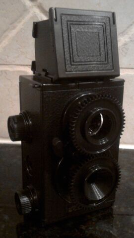 File:Tlr2.jpg