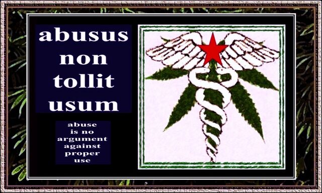 File:Abusus.jpg