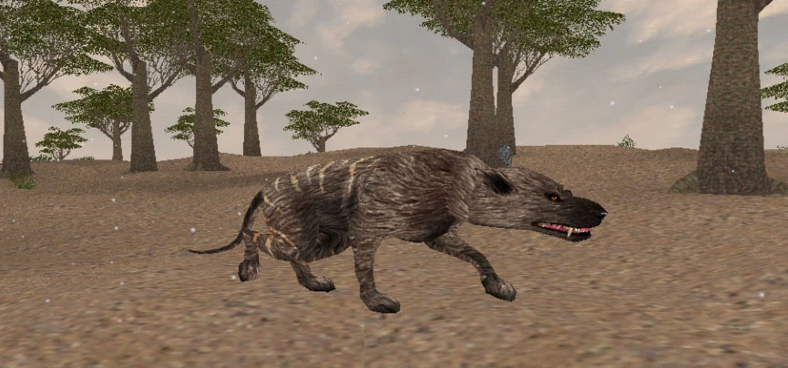 Hyaenodon | Carnivores Wiki | Fandom powered by Wikia