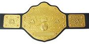 World Heavyweight Championship