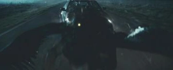 Willa Holland | Cinemorgue Wiki | FANDOM powered by Wikia