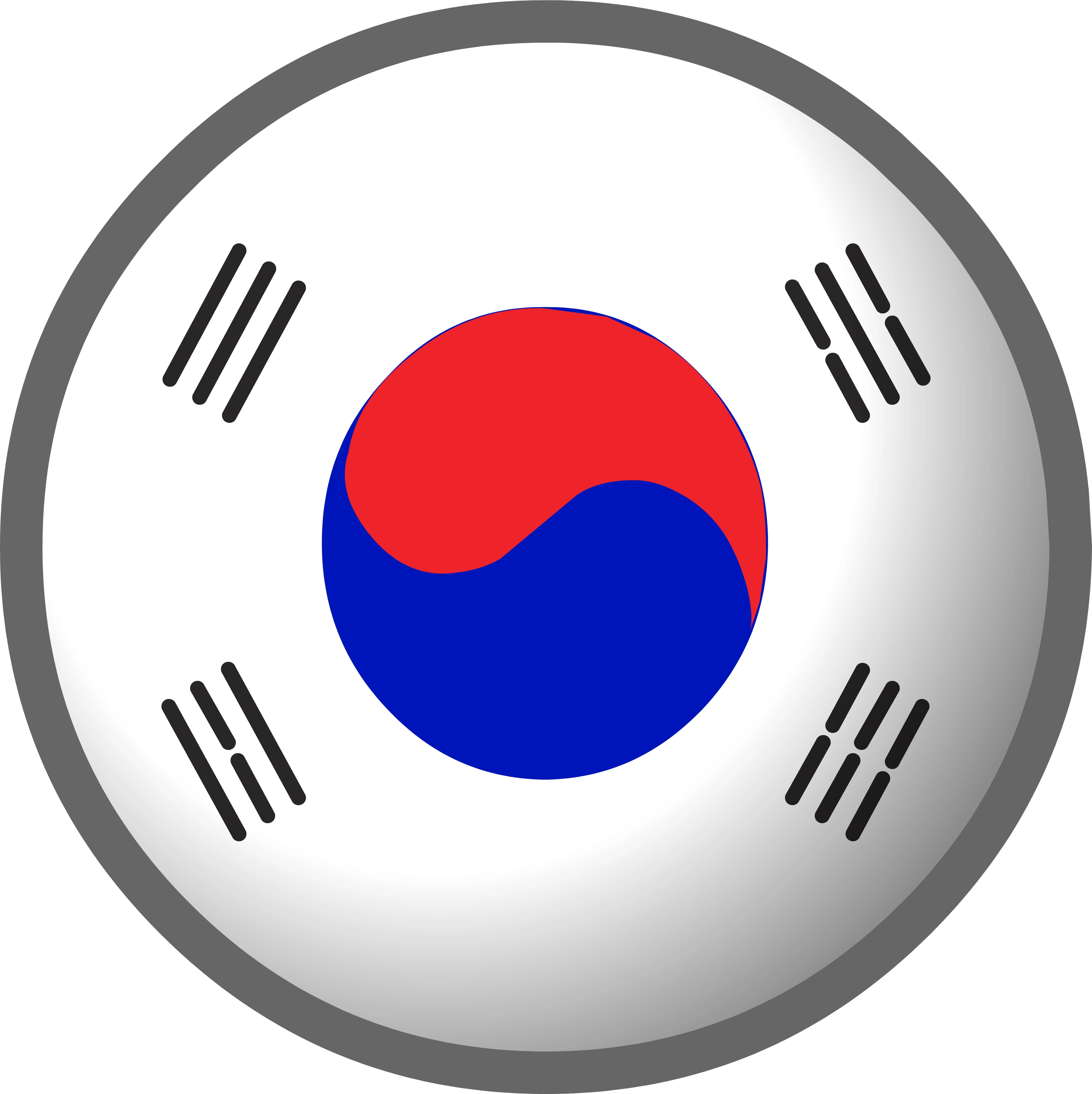 Image - South Korea flag clothing icon ID 513.png | Club Penguin Wiki