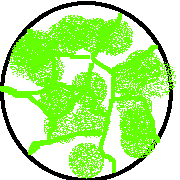 Unstable Dito A snowball.png (9 KB) Unstable Dito A snowball