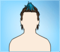 Fashion hairstyle