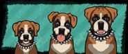4 (Boxer)