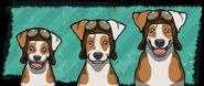10 (Jack Russell) .jpg (44 KB) 10 (Jack Russell)